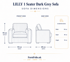 Lilly 1 Seater Plush Velvet Dark Grey Sofa | FurniFolks - Detailed Angle View 6
